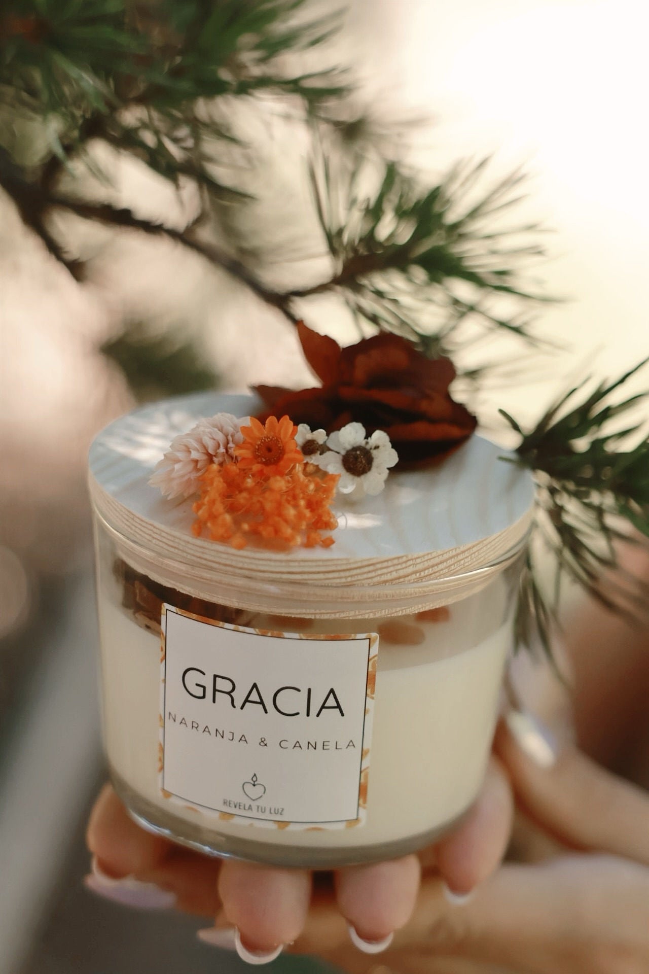 GRACIA