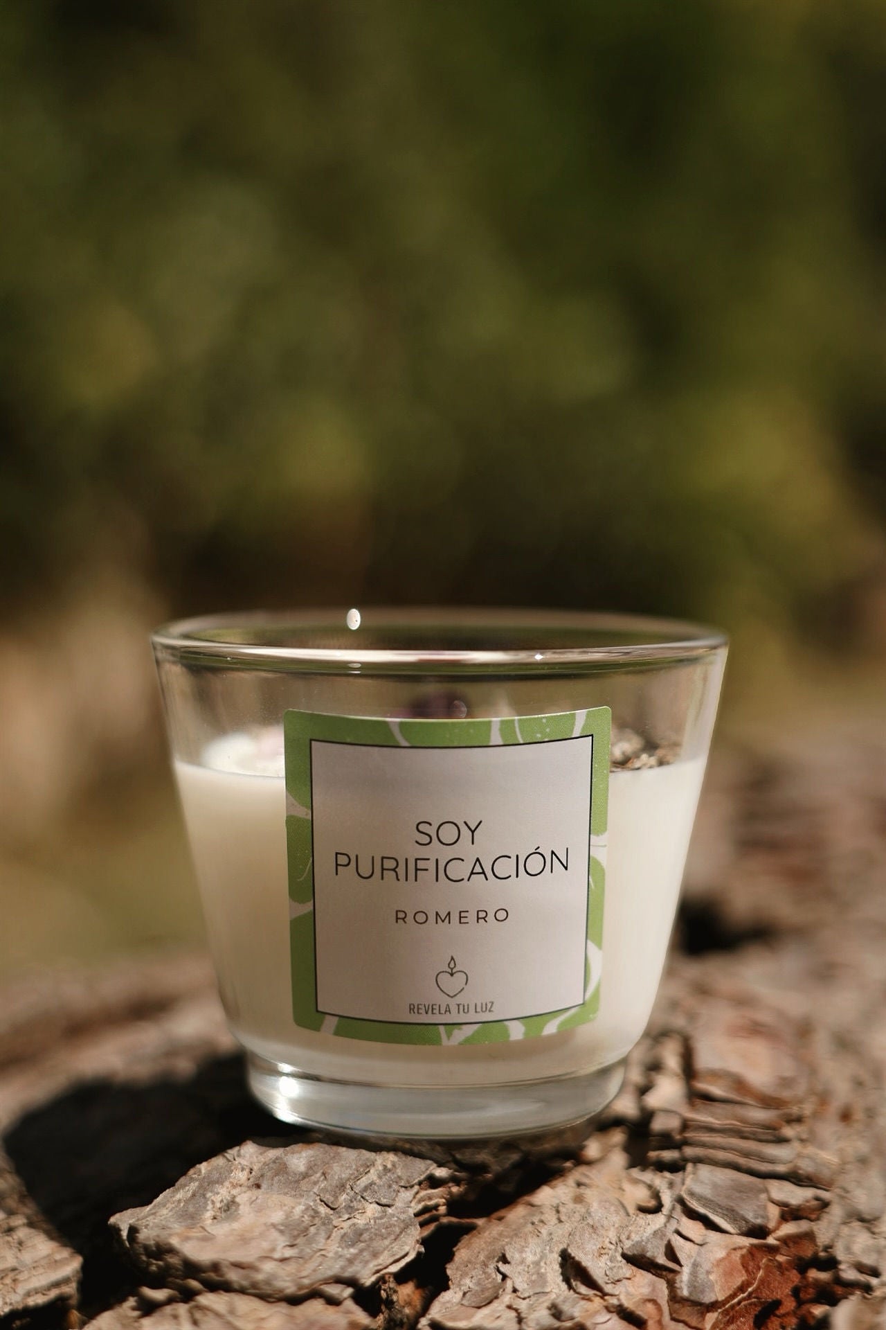 Soy Purificación